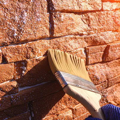 메탄 실리콘산 나트륨 염