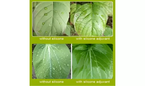 구조,특성과 응용 프로그램의 1,1,1,3,5,5,5-Heptamethyltrisiloxane（HC-YM9360）