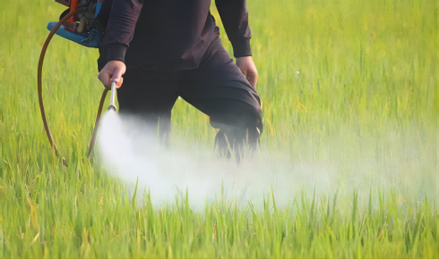 ------재료 과학 및 정밀 화학 분야의 혁신적인 파트너