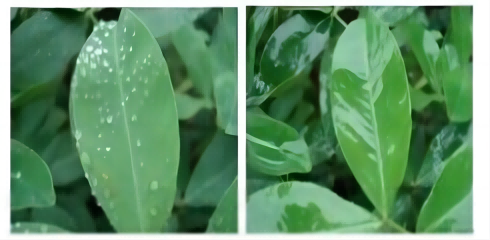 폴리 에테르 변형 헵타메틸 트리실록산에 대해 이야기하십시오.