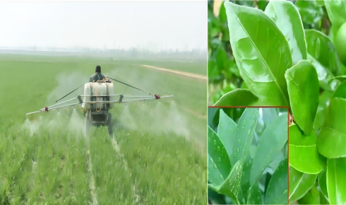 디메틸디클로로실란(디메틸디클로로실란,디메틸디클로로실란,디메틸디클로로실란,디메틸디클로로실란,디메틸디클로로실란)